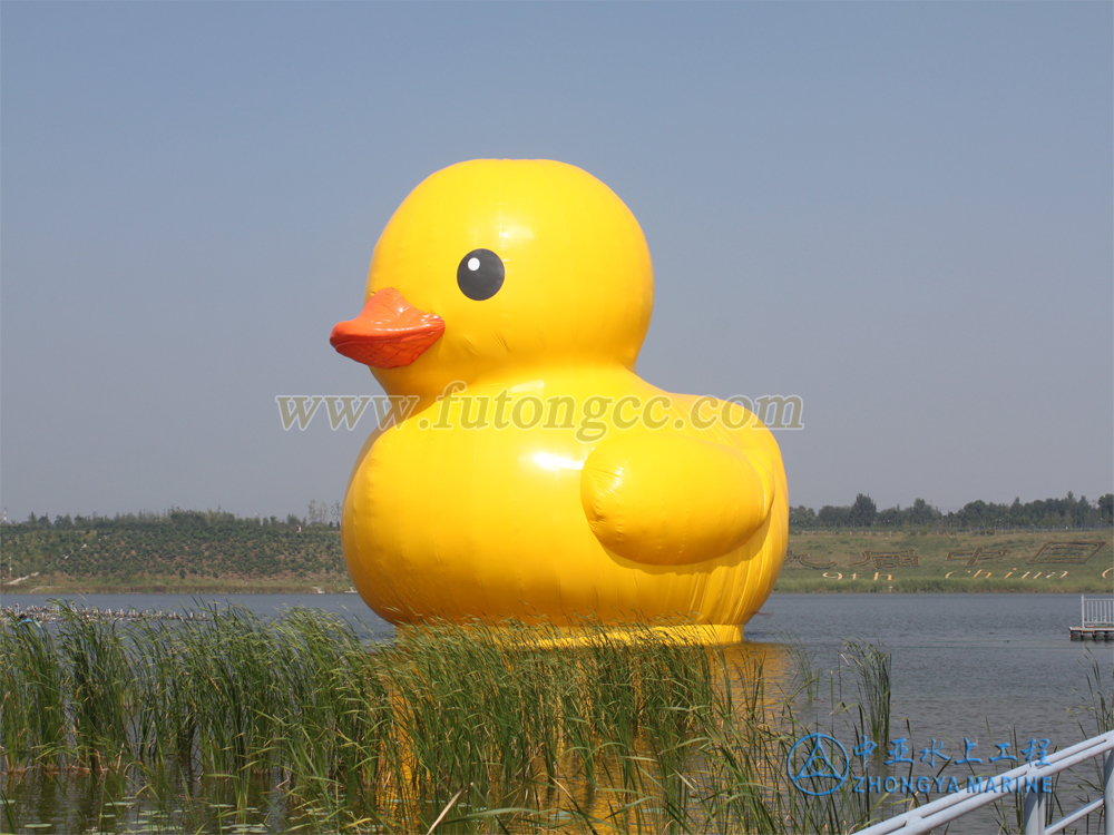 Big Yellow Duck Project